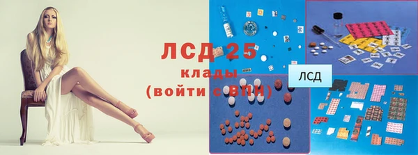индика Саяногорск