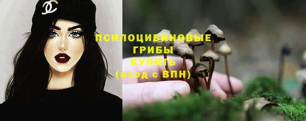 СК Лихославль