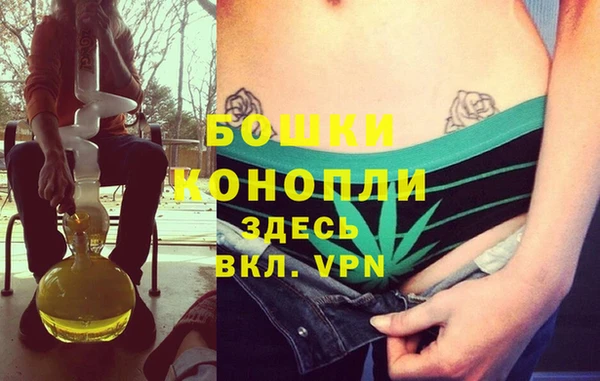 spice Сосновый Бор