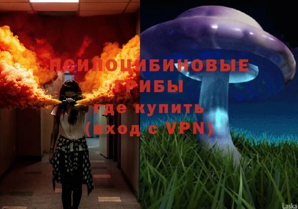 СК Лихославль
