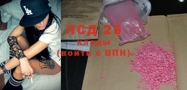 сатива Сатка