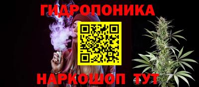 шишки Обнинск