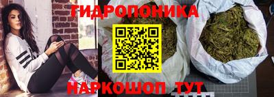 2c-b Обь