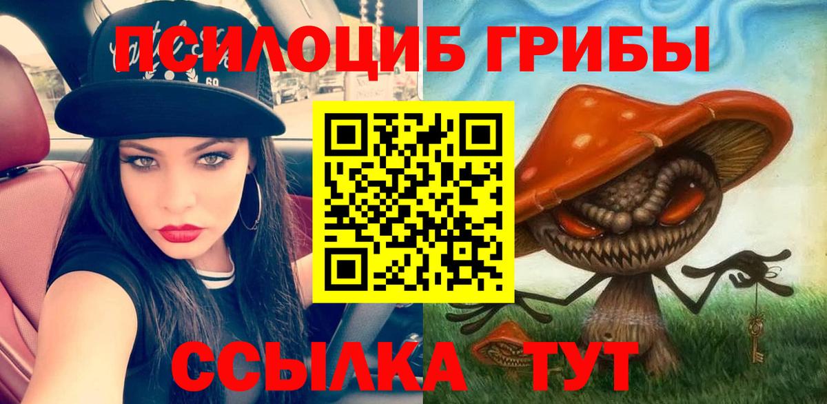 закладки  Псилоцибиновые грибы Psilocybe  Вход с VPN  Галлюциногенные грибы ЛСД  Энгельс 